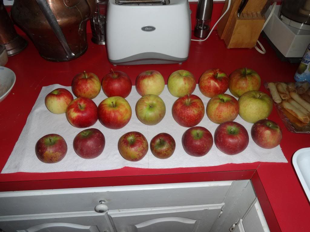 photo DSC00296.jpg