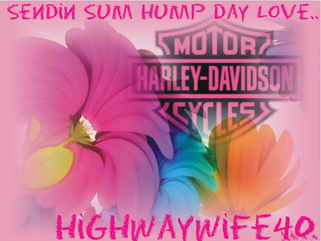motorcycles_harley-davidson_300x225_35406_-_harley-davidson_fleurs_logo_rose