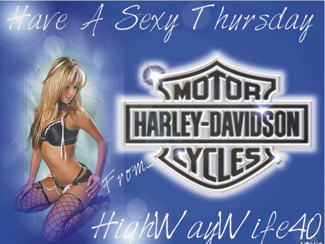 motorcycles_harley-davidson_300x225_35410_-_harley-davidson_sexy_babe