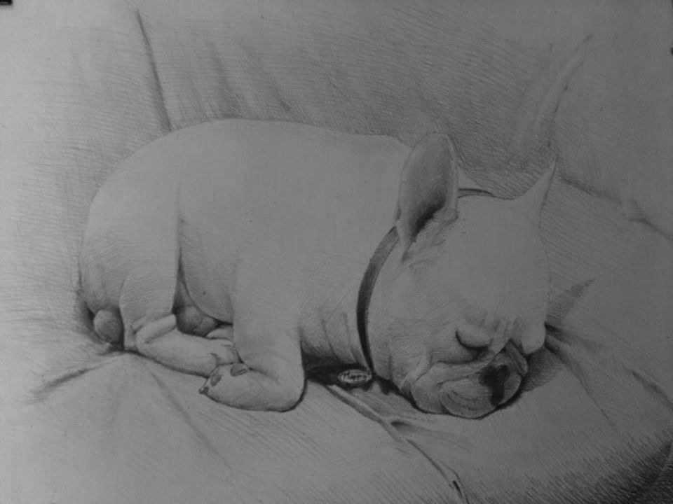 Nhận vẽ chân dung – kí hoạ ( chì ) - 31