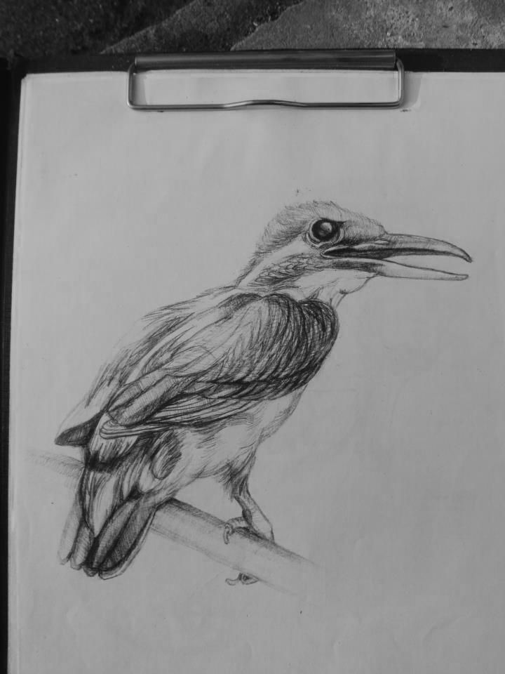 Nhận vẽ chân dung – kí hoạ ( chì ) - 33