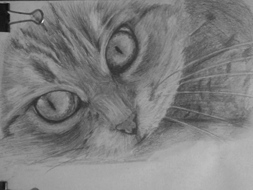 Nhận vẽ chân dung – kí hoạ ( chì ) - 29