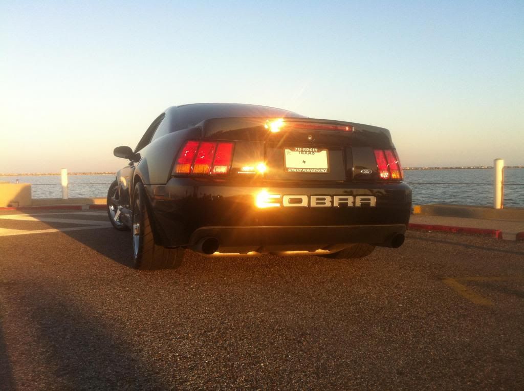 blurredlicense_zps4298fa9a.jpg