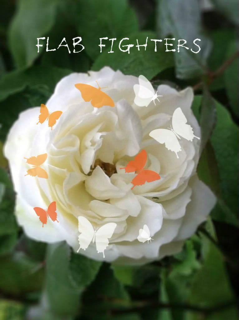 flabfighters