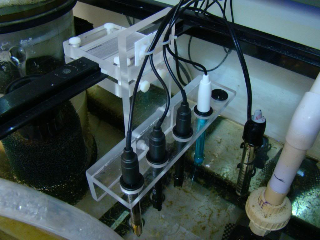 probe holder Reef Central Online Community