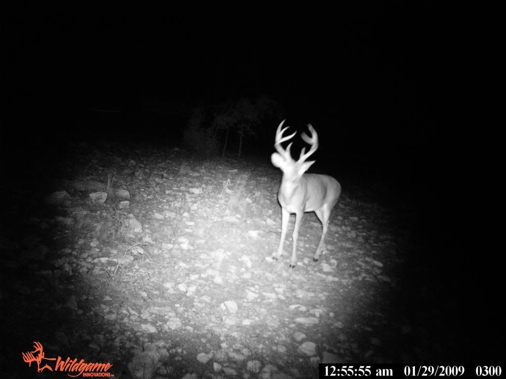 Lease in Tom Green County Texas Hunting Forum