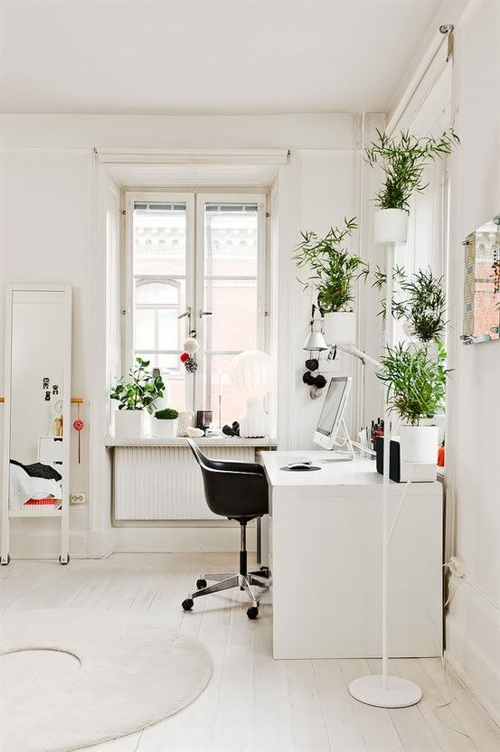 Workspace inspiration