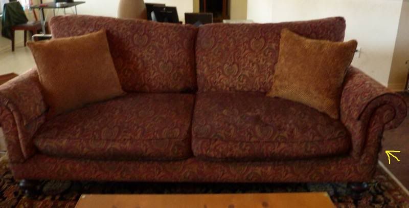 comfy pull out couch