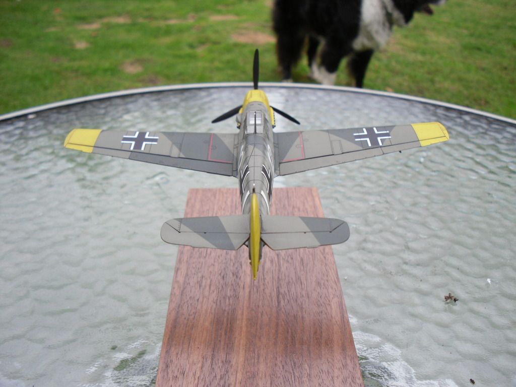 SDC19141_zpsdhij6vqk.jpg