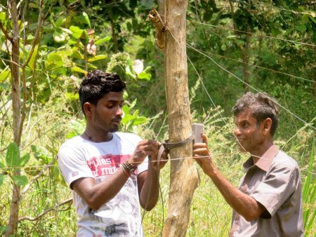 Field assistant Supun Herath and local farmer Mr. Dharmadasa set up camera traps around his beehive fence