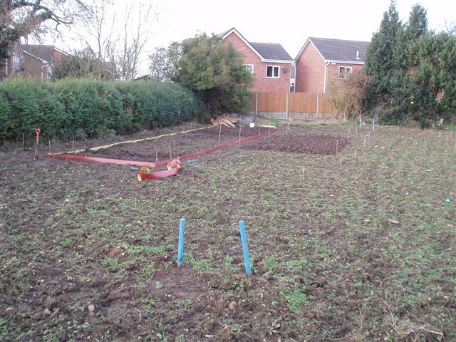 Allotment%20006_zpsbu1ek5k0.jpg