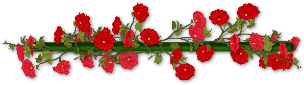 Image result for flower divider png
